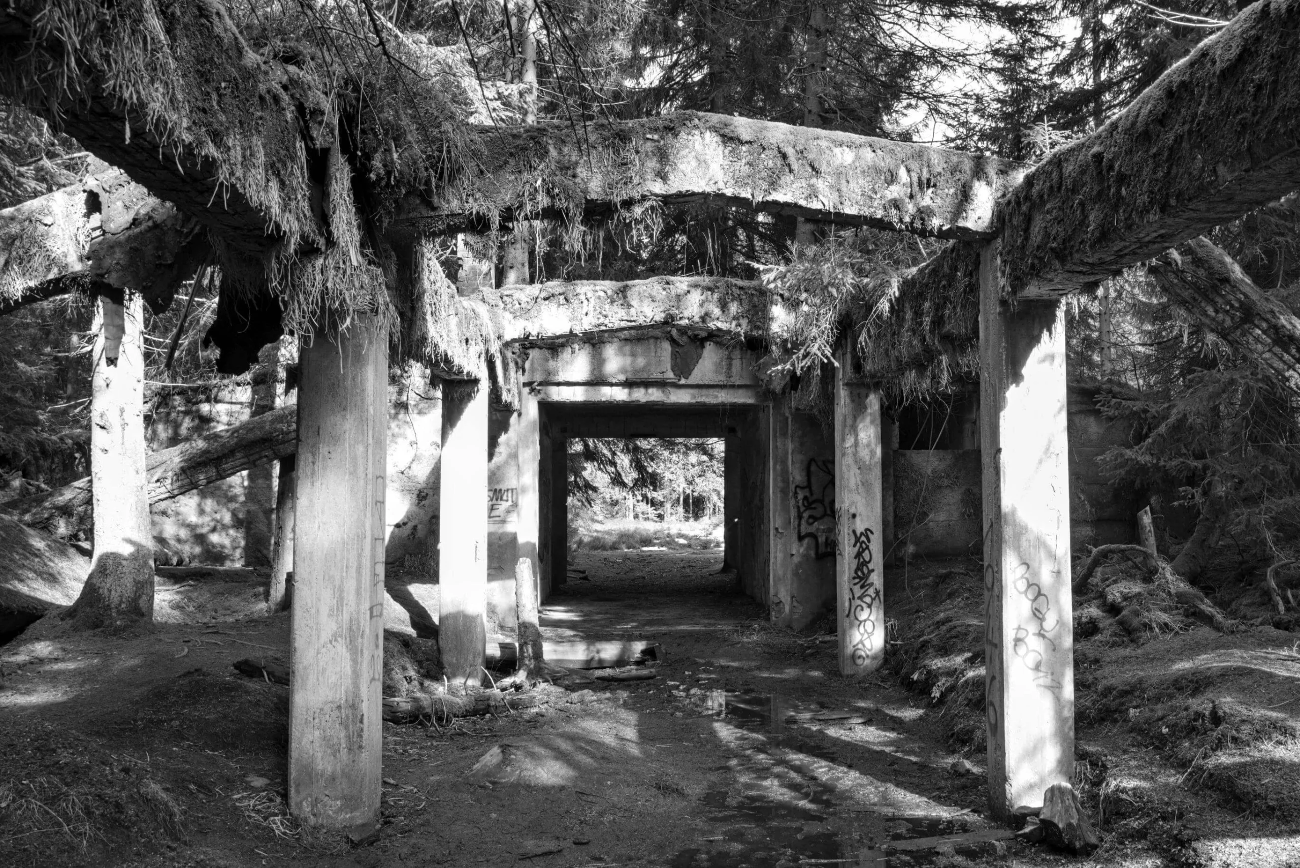 Rolava - Sauersack 006
